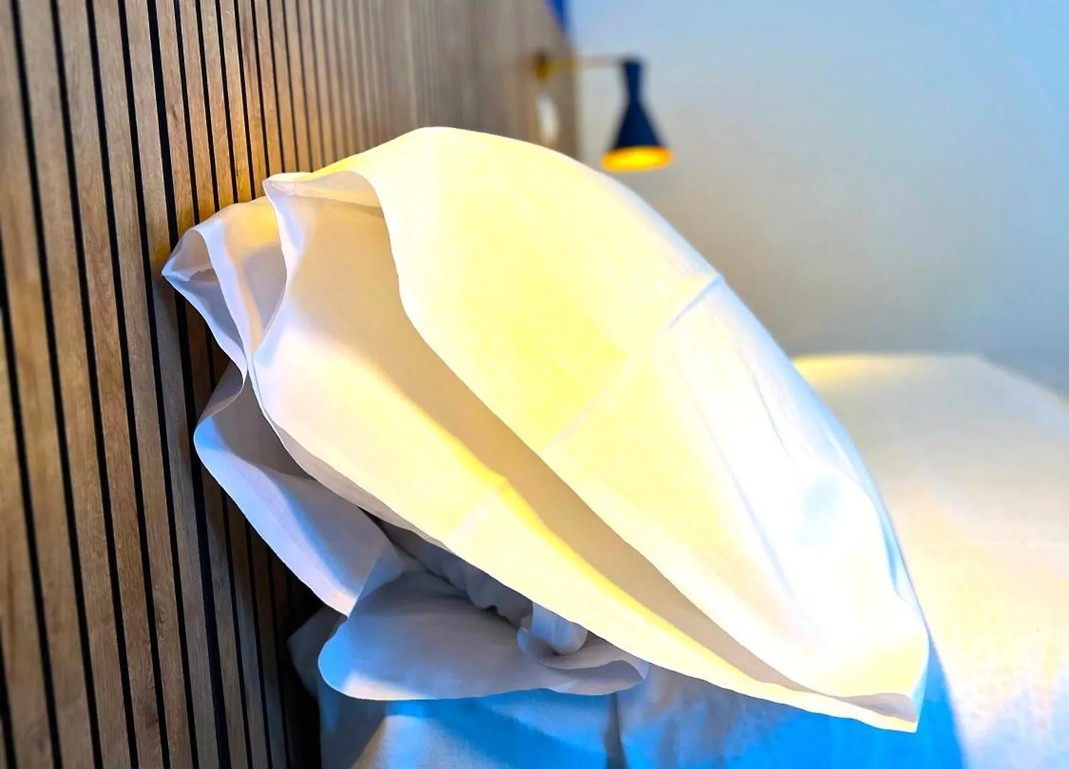 Hotel Nizza Creative Hotel Rimini 3*,