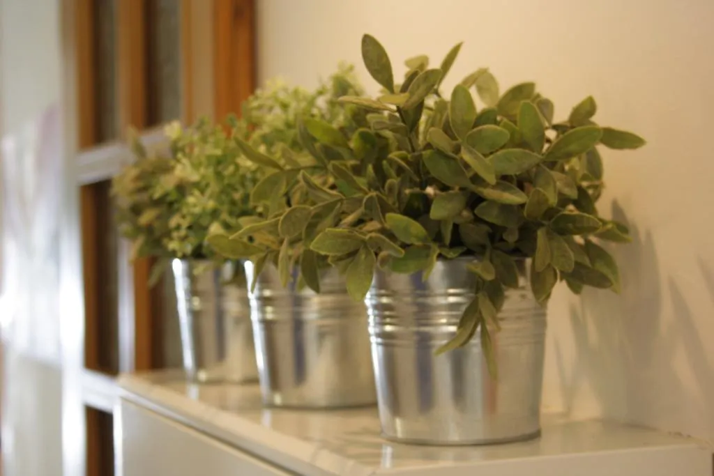 Hotel Nizza Creative Hotel Rimini